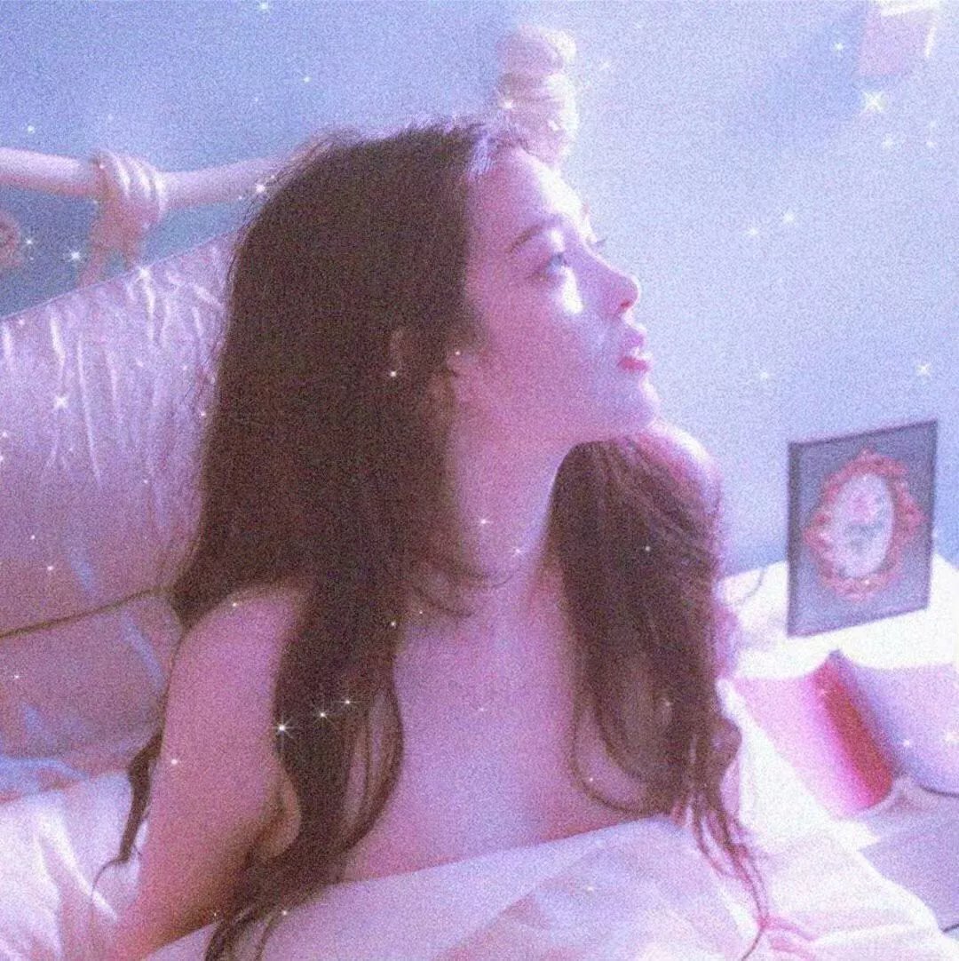 绽放的带刺玫瑰