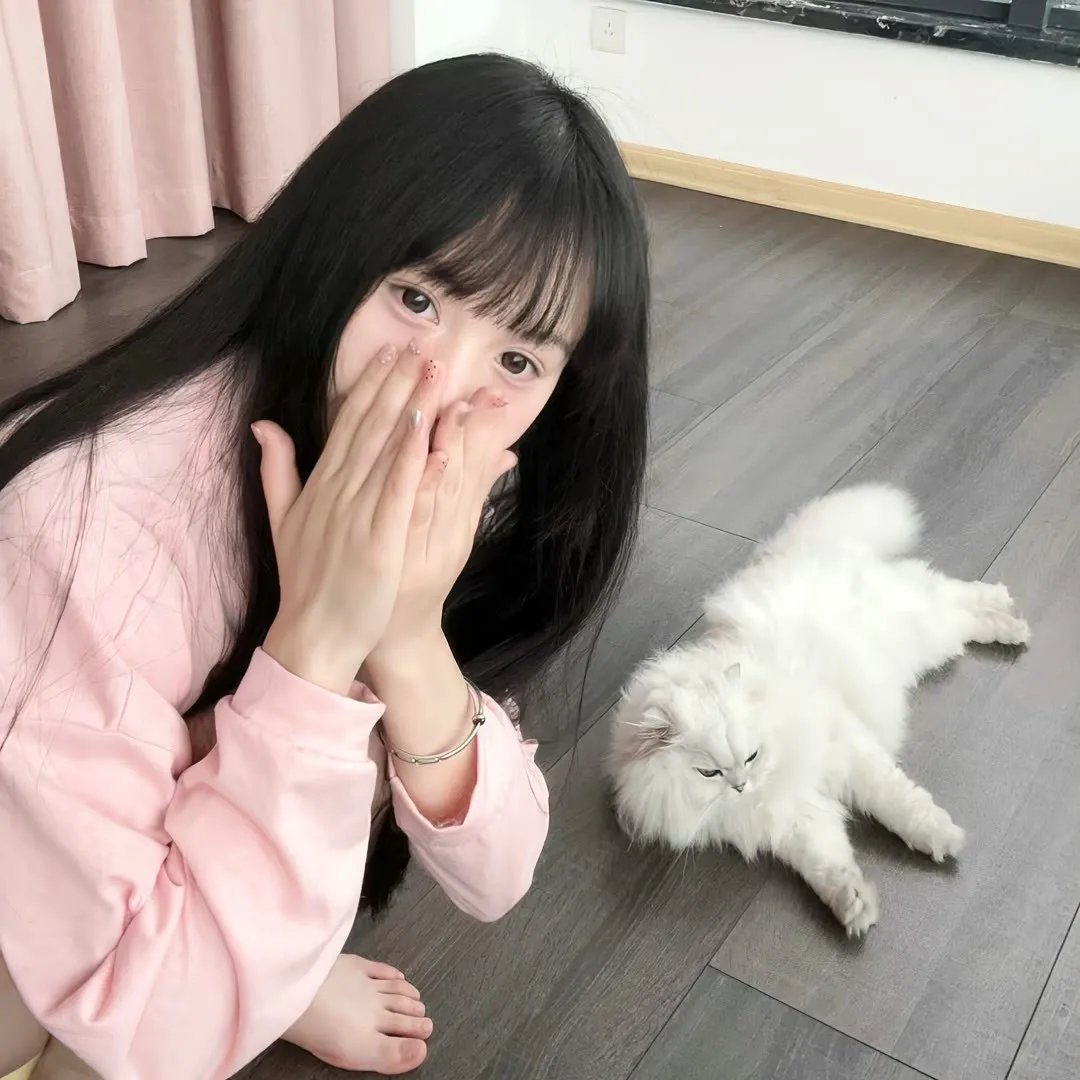 网恋诈骗复仇记